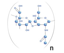 Hyaluronsäure-Formel